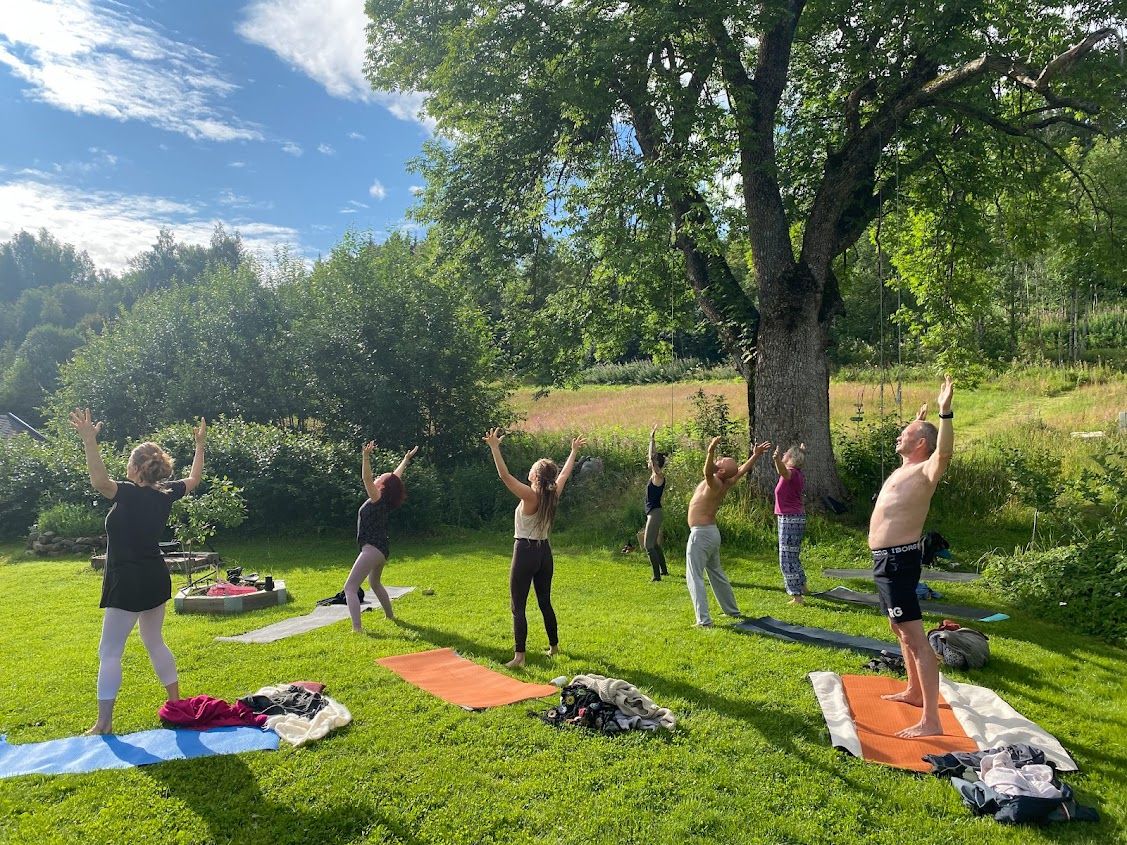 Gruppe som gjør yoga på plenen på gården om sommeren